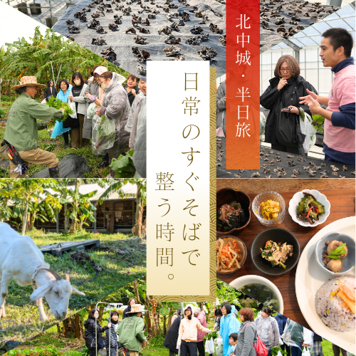 心と体を整える。沖縄・北中城で見つける「私を整える」半日旅